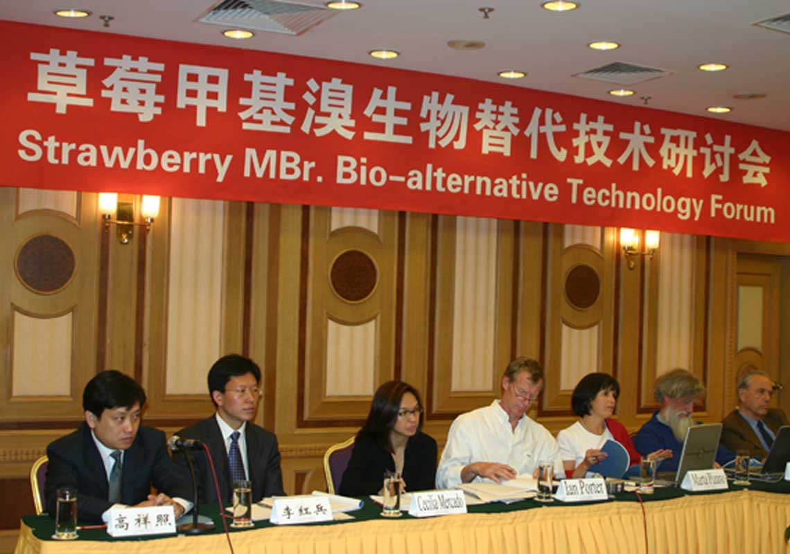 聯(lián)合國環(huán)境署、聯(lián)合國工發(fā)組織等機構出席了我公司舉行的草莓甲基溴生物替代技術(shù)研討會(huì )